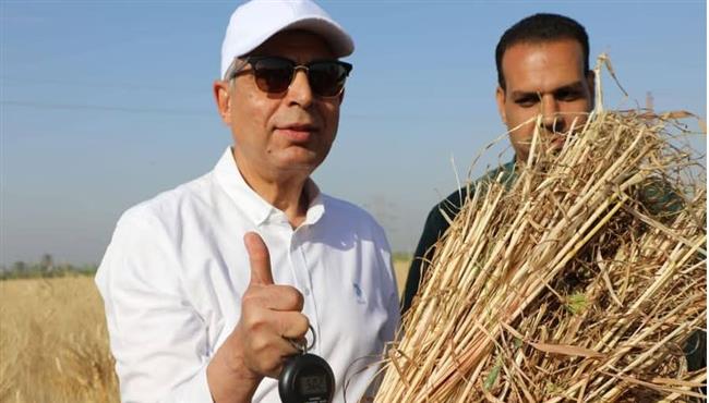 محافظ المنيا يشارك الفلاحين فرحة حصاد القمح.. ويؤكد: دعمنا لا محدود للمزارعين 