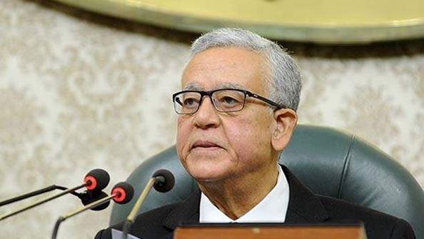 رئيس مجلس النواب يؤكد أهمية العلاقات الوثيقة بين مصر والمجر