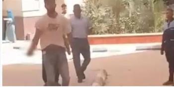 جامعة سوهاج توضح ملابسات فيديو مشاجرة الطلاب
