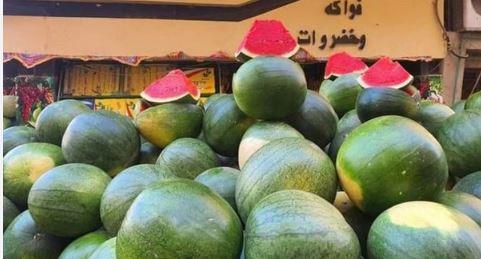 شعبة الخضر والفاكهة  تحذر من الإقبال علي شراء البطيخ في الوقت الحالي لهذه الأسباب