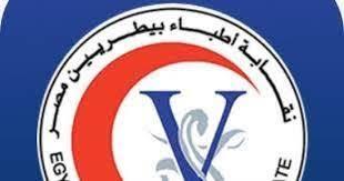   وكيل النقابة العامة للبيطريين: لدينا نحو 20 مليون كلب ضال في الشوارع