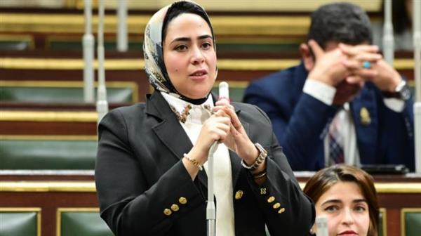 طلب إحاطة حول التقصير الإداري والإهمال الطبي بمستشفى جمال عبد الناصر بالإسكندرية