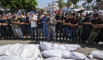   "القاهرة الإخبارية": مجزرة إسرائيلية جديدة تستهدف مدرسة دار الأرقم في غزة