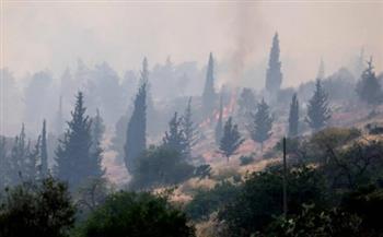   قائد منطقة القدس في الشرطة الإسرائيلية: حرائق اليوم هي الأكبر في تاريخ إسرائيل