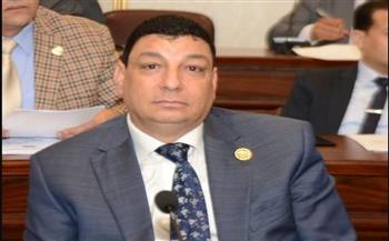   صناعة البرلمان: عمال مصر في صدارة اهتمام الدولة بفضل توجيهات الرئيس المستمرة 