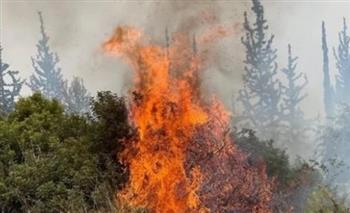  سلطات الإطفاء الإسرائيلية: 9 حرائق لا تزال مشتعلة حتى الآن في جبال القدس