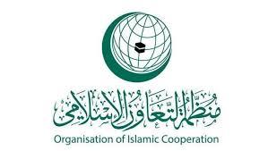   "التعاون الإسلامى" تدين قصف الاحتلال مدرسة دار الأرقم ومستودعا طبيا فى غزة