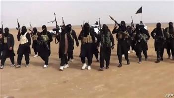   الأمن العراقي يحبط هجوما لتنظيم داعش في الأنبار