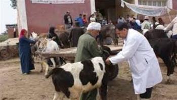  دمياط : إنطلاق 40 فرقة طبية بيطرية لتطعيم 100 ألف رأس ماشية لحمايتها من الأمراض