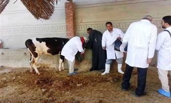   الوادي الجديد : انطلاق الحملة القومية للتحصين ضد الحمى القلاعية و الوادي المتصدع