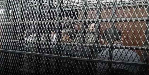 خلال ساعات.. نظر محاكمة 3 متهمين فى قضية «خلية الجبهة» 