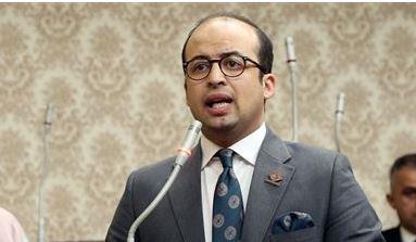 نائب التنسيقية: زيارة ماكرون للعريش تؤكد دعم فرنسا للجهود المصرية لوقف الحرب فى غزة