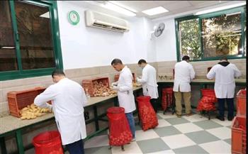   الزراعة" تستعرض أبرز أنشطة مشروع حصر ومكافحة العفن البني في البطاطس خلال مارس الماضي