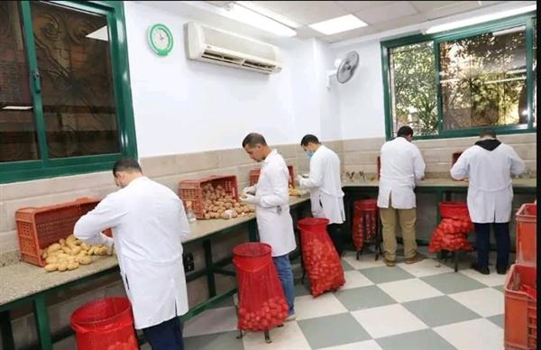 الزراعة" تستعرض أبرز أنشطة مشروع حصر ومكافحة العفن البني في البطاطس خلال مارس الماضي