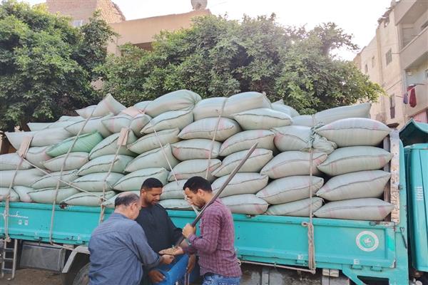 محافظ المنيا: شون وصوامع المحافظة تستقبل 249 ألف طن من القمح حتى الآن