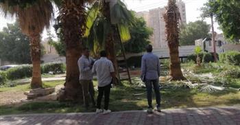   " أنور " يتابع أعمال القسم الزراعي بحديقة سيدي عمر بمدينة قنا 