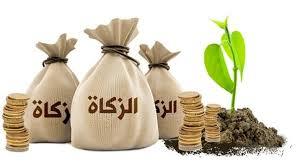   ما حكم زكاة الأسهم..؟ الإفتاء توضح