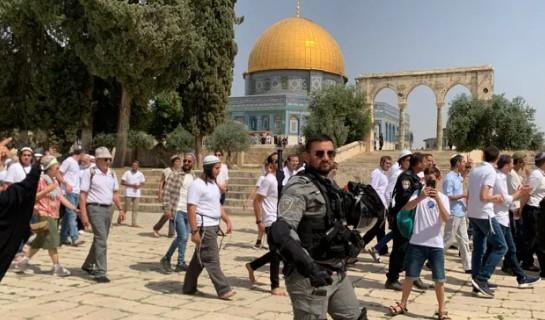 عشرات المستوطنين يقتحمون المسجد الأقصى تحت حماية شرطة الاحتلال