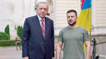  زيلينسكي وأردوغان يناقشان هاتفيا تفاصيل اجتماع إسطنبول بشأن أوكرانيا