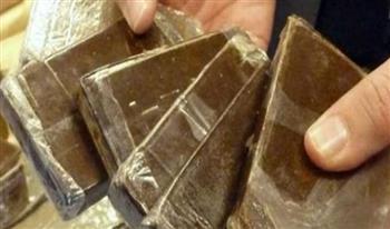 ضبط 288 طربة حشيش بحوزة عنصرين إجراميين فى طنطا
