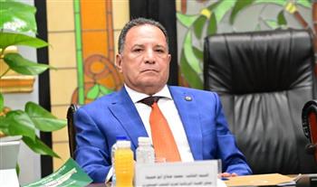   أبو هميلة: استمرار الدولة في تقديم المحفزات الاستثمارية يعظم الصناعة الوطنية 