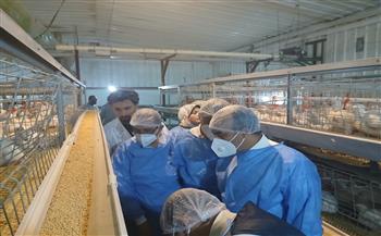   نائب محافظ المنيا يتفقد مشروع الشركة المصرية الفرنسية لإنتاج الدواجن