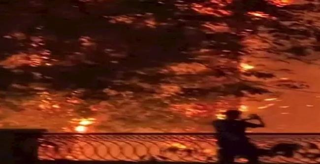 التحقيق فى حادث حريق نخيل كورنيش مصر القديمة