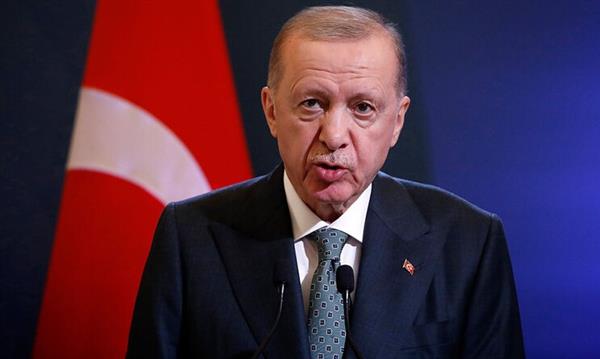 أردوغان: مفاوضات إسطنبول بين روسيا وأوكرانيا فرصة لوقف إراقة الدماء