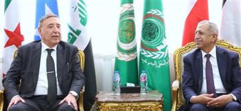   الدستورية العليا: المحكمة تحقق التوازن بين استقرار الدولة وصون حقوق وحريات الأفراد