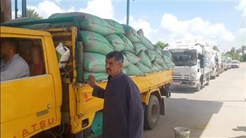   محافظ الدقهلية: توريد 212 ألف طن قمح بمراكز التوريد والتخزين منذ بداية موسم الحصاد