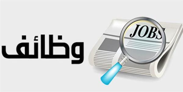 العمل: 5242 فُرصة عمل جديدة في 50 شركة خاصة تنتظر شباب 8 محافظات