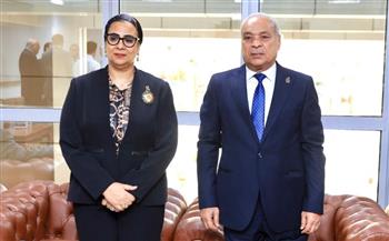   المستشارة أمل عمار تشارك في احتفالية جهود الدولة في تمكين الأشخاص ذوي الإعاقة