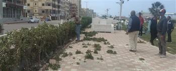  سياحة ومصايف الإسكندرية تستجيب لشكوى مواطنة وتزيل منشآت بالنخيل