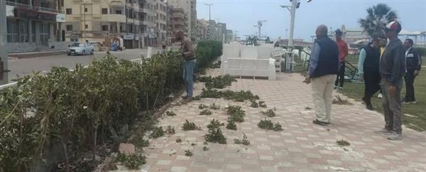 سياحة ومصايف الإسكندرية تستجيب لشكوى مواطنة وتزيل منشآت بالنخيل