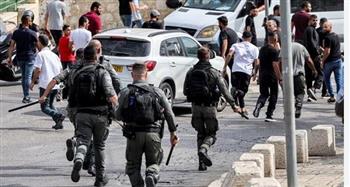   مستعمرون يهاجمون مركبات الفلسطينيين جنوب نابلس