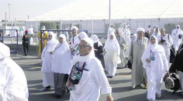 رئيس بعثة الحج: نعمل على راحة حجاج القرعة على مدار 24 ساعة