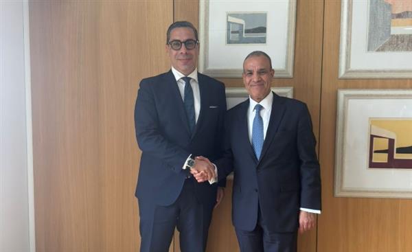 وزير الخارجية يشيد بدعم قبرص لـ مصر في مؤسسات الاتحاد الأوروبي