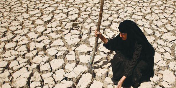الحقول تموت عطشا.. خطر الجفاف يتصاعد ويهدد مستقبل الزراعة في سوريا