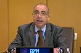   مندوب مصر لدى الأمم المتحدة: لعبت مصر دورا رئيسيا فى تيسير الاستجابة الإنسانية لغزة