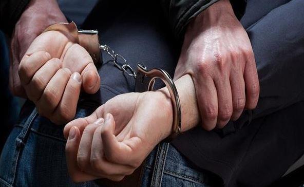 ضبط عنصر إجرامي لقيامه بسرقة هاتف محمول من احدى الفتيات من محل عملها بالدقهلية