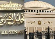 تفاصيل الاستعدادات الخاصة بانتخابات مجلسي الشيوخ والنواب
