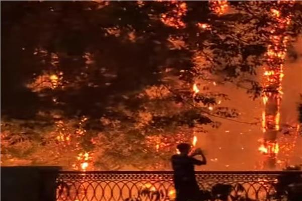 حريق في أشجار الزينة بطريق مطار الأقصر الدولي