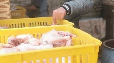 صحة المنيا : إعدام 110 كيلوجرامات أغذية فاسدة