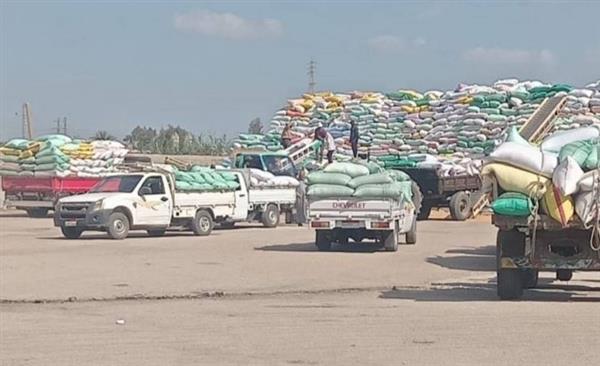 محافظ الشرقية: ارتفاع كميات القمح الموردة للشون والصوامع إلى 583 ألف طن