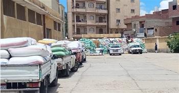   توريد 62 ألف طن قمح إلى شون وصوامع كفر الشيخ منذ بداية الموسم