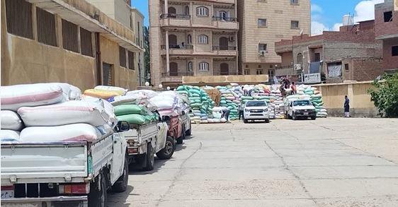 توريد 62 ألف طن قمح إلى شون وصوامع كفر الشيخ منذ بداية الموسم