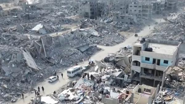 "فلسطين للأمن القومي": على دول العالم التحرك سريعًا لوقف الإبادة الجماعية في غزة