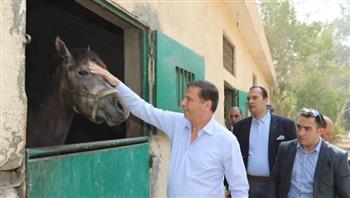   وزير الزراعة: تطوير محطة الزهراء لتكون مركزًا عالميًا للخيول العربية