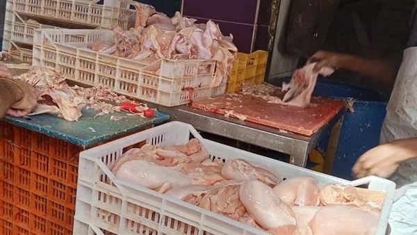 تموين الاسكندرية تضبط دواجن و بط منتهية الصلاحية