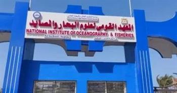   علوم البحار يقدم حلولاً للنهوض بالمصايد وتعزيز النظام البيئى